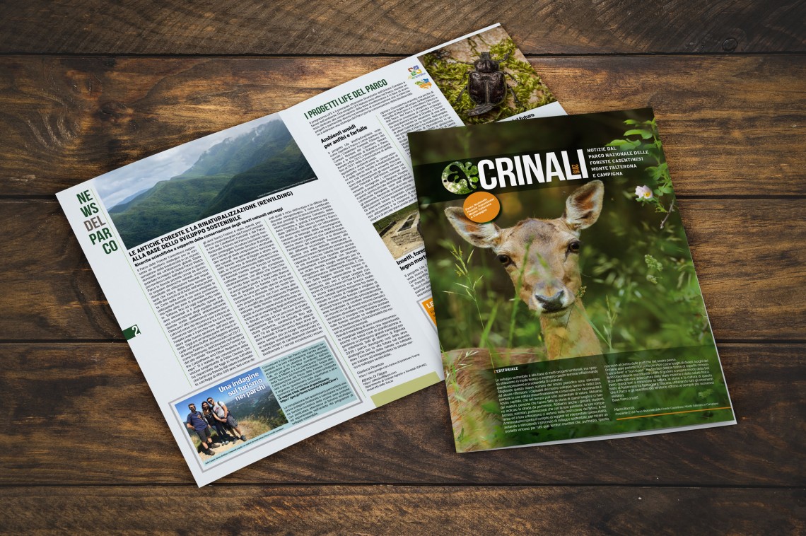 255_big_crinali
