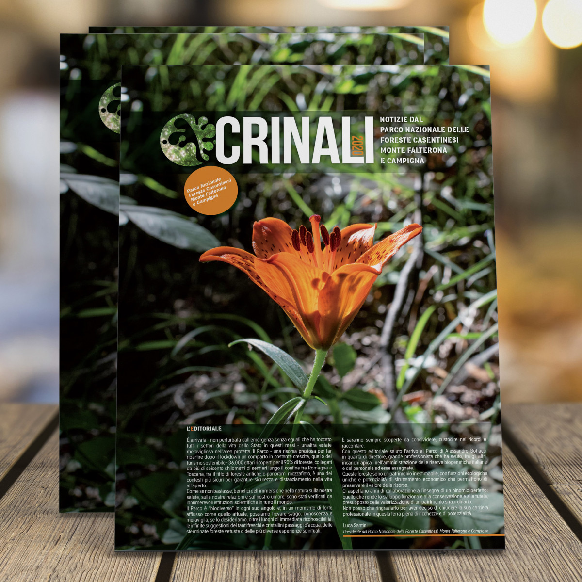 330_big_crinali