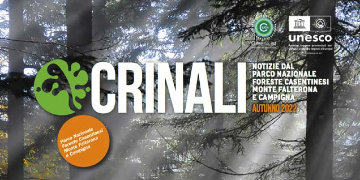482_big_crinali-autunno-2022