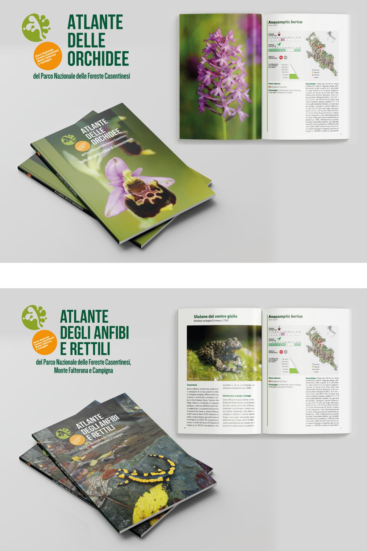 503_big_esserelite-progetto-atlante-orchiedee-e-anfibi