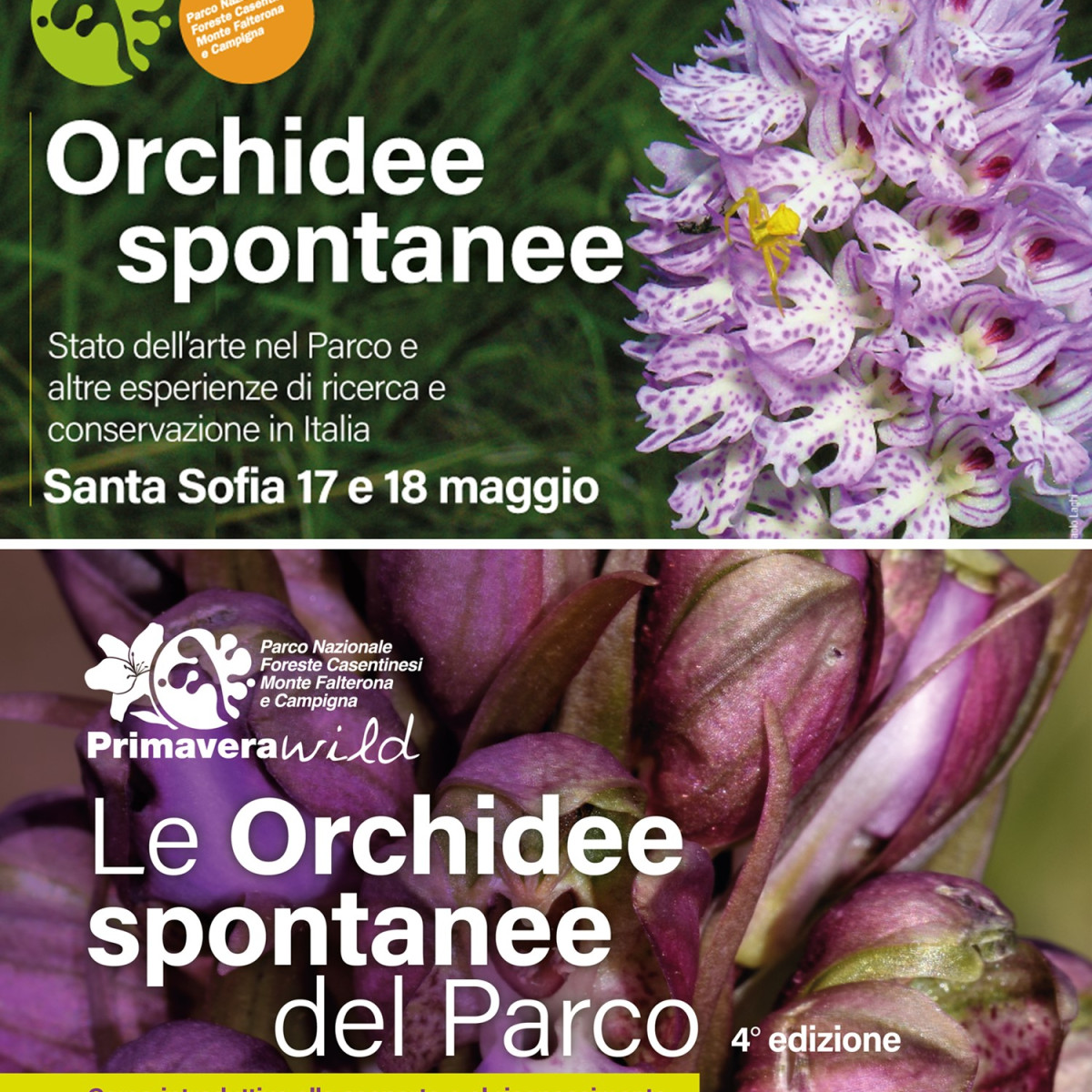 688_big_Orchidee parco cover
